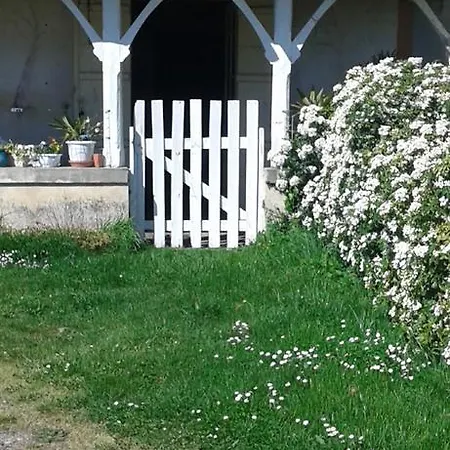 Primrose Bed & Breakfast