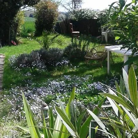 Bed & Breakfast Primrose *