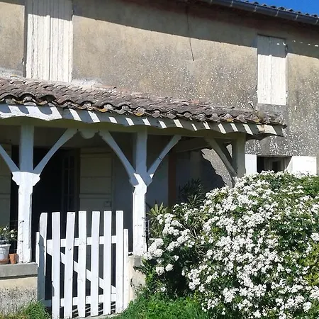 Primrose Bed & Breakfast
